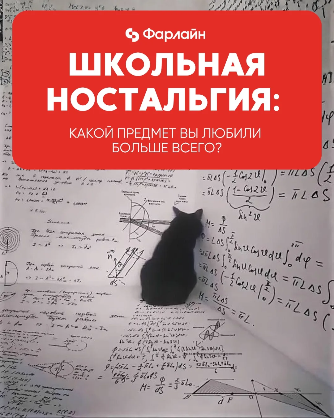 Какой предмет вы любили больше всего? 🎒

Пока школьники и студенты вовсю сдают экзамены, давайте не