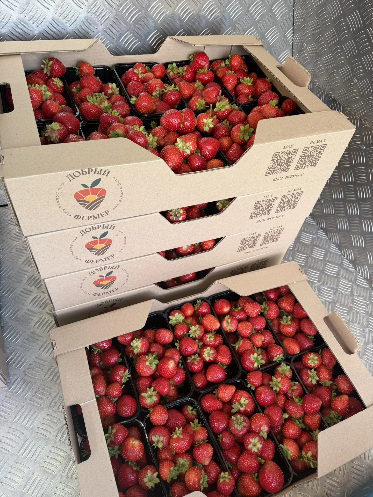 🍓СБОР 03 АВГУСТА🍓