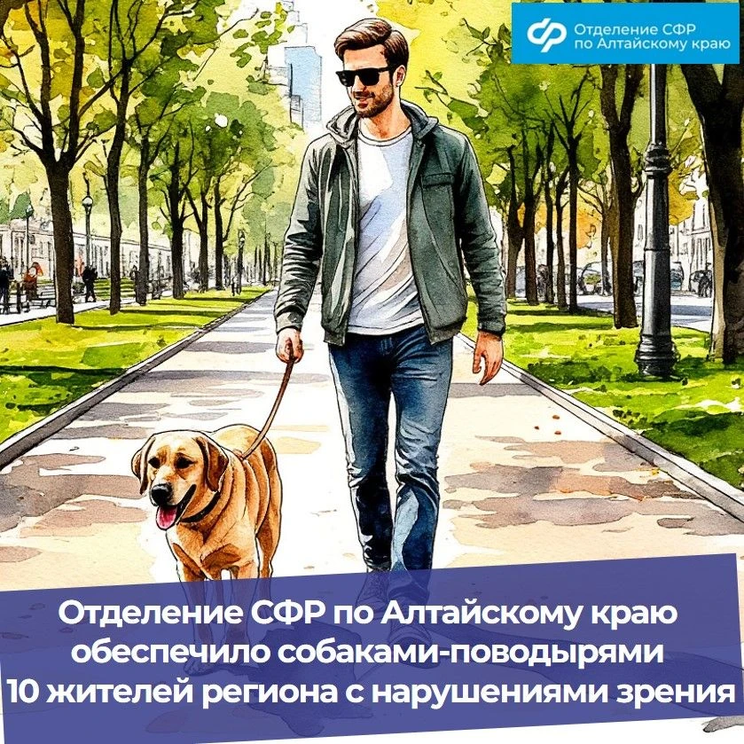 🔵 Собака-проводник — это не просто друг, а официальное техническое средство реабилитации, которое по