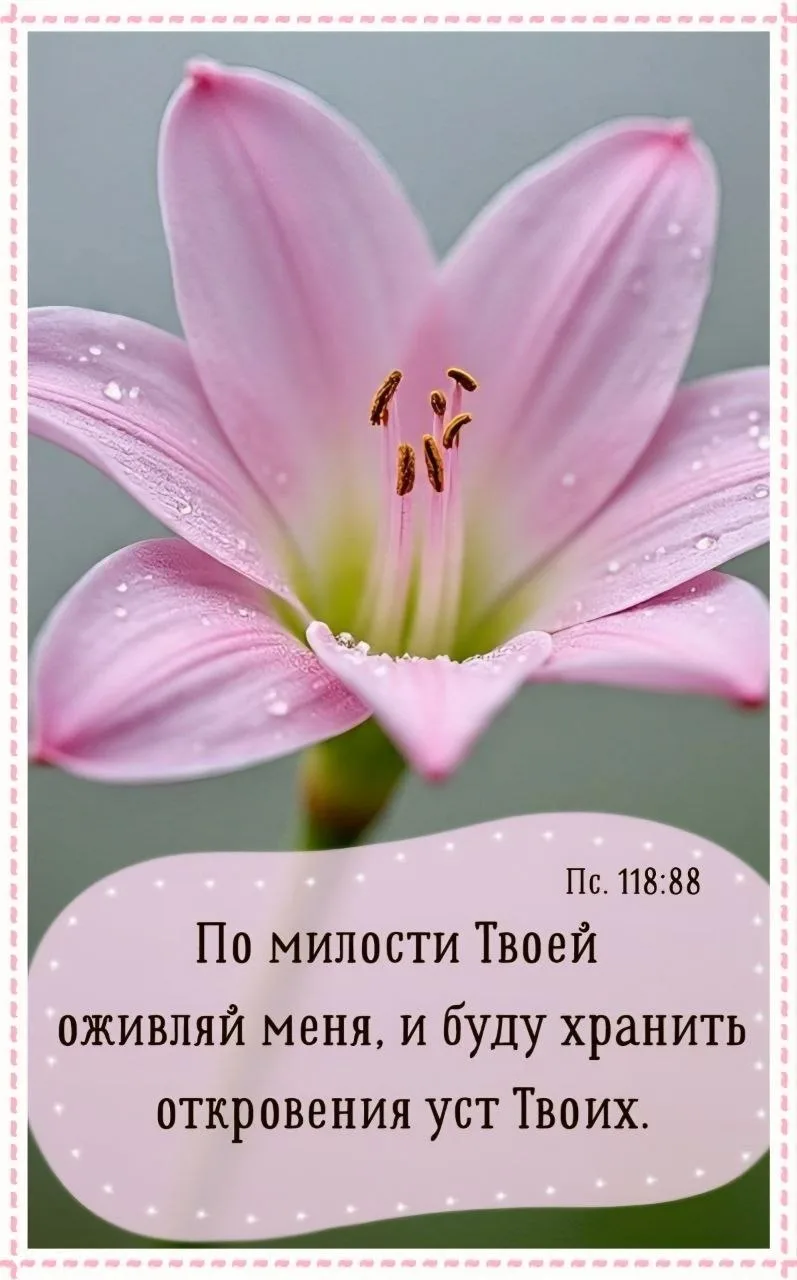 «По милости Твоей оживляй меня, и буду хранить откровения уст Твоих». — Пс. 118:88