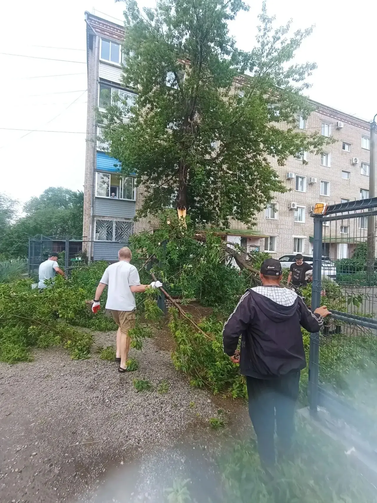 Доброго дня, дорогие жители! 
Чего только нет в перечне наших задач на день: 
🪵 пилим ветки, 
🪣 вы