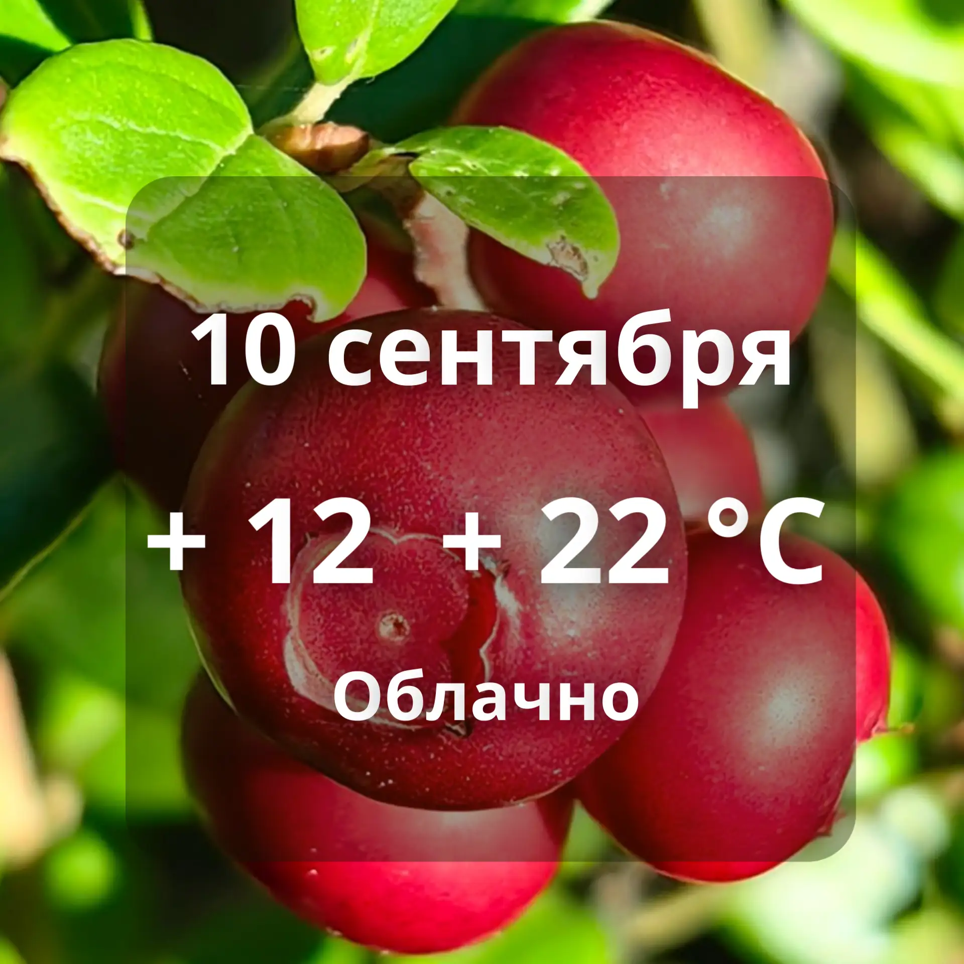 ⛅Погода в Аксарке на сегодня