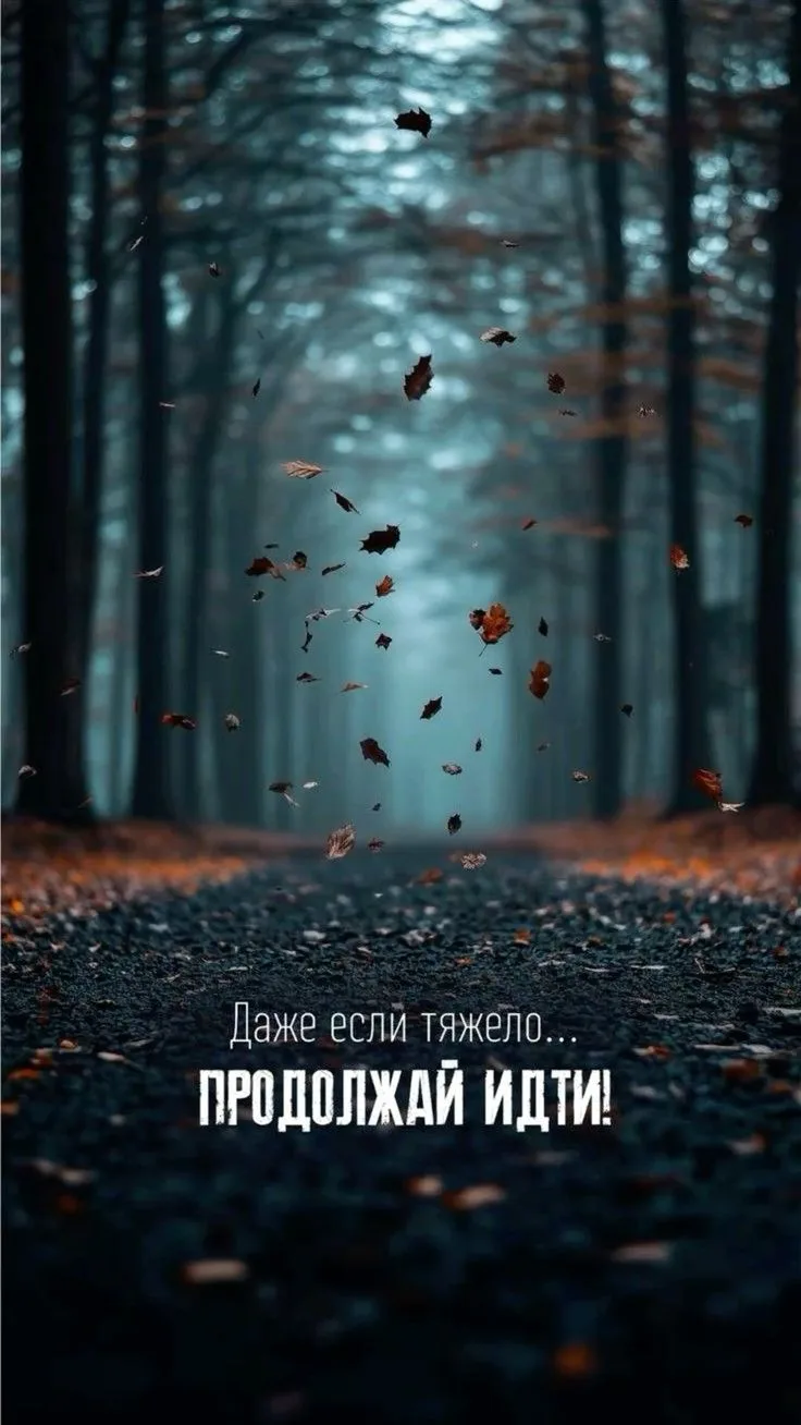 6 октября 2026 года