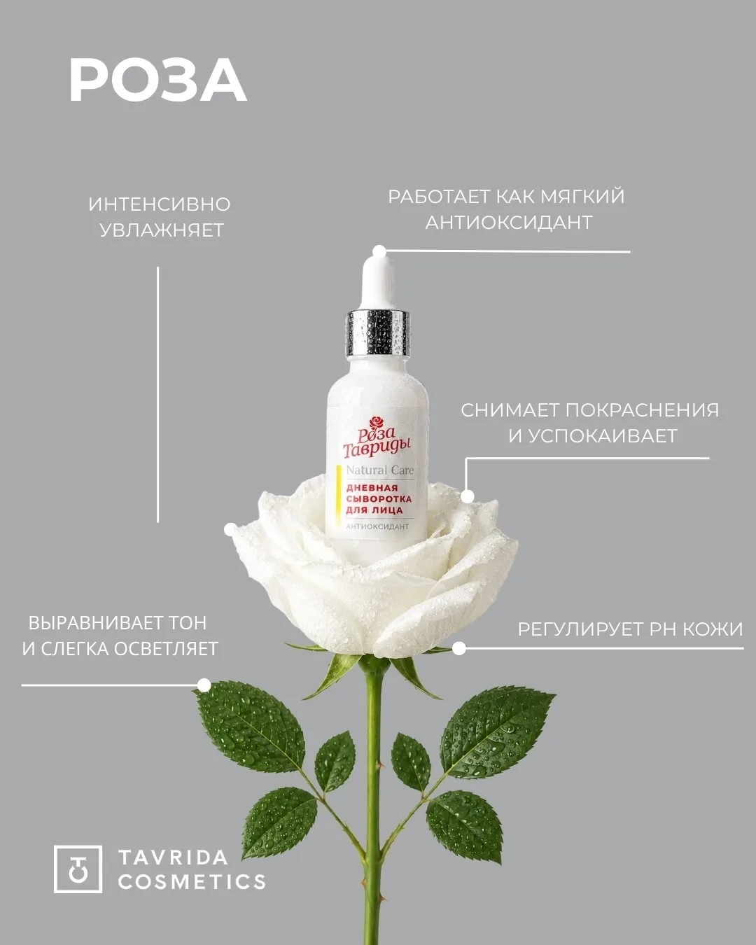 🌹 ПОЧЕМУ ИМЕННО РОЗА?