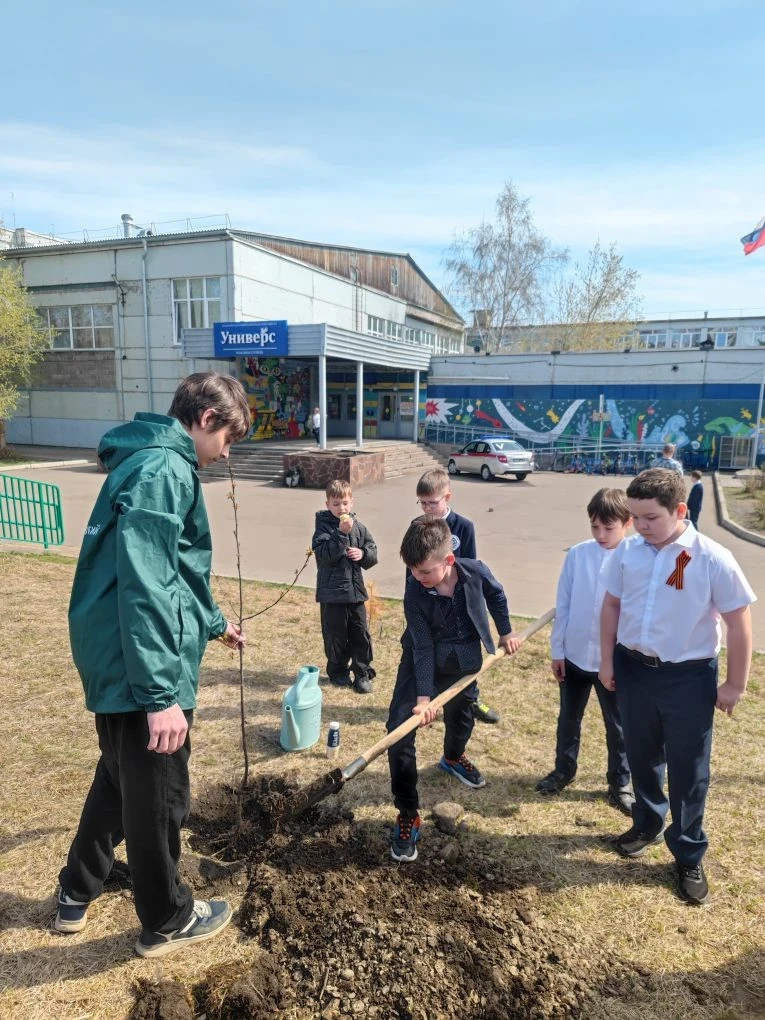 Акция "Сад Памяти"  🌳 Ребята 3 Е класса совместно с третьекурсниками Института лесных технологий Сиб