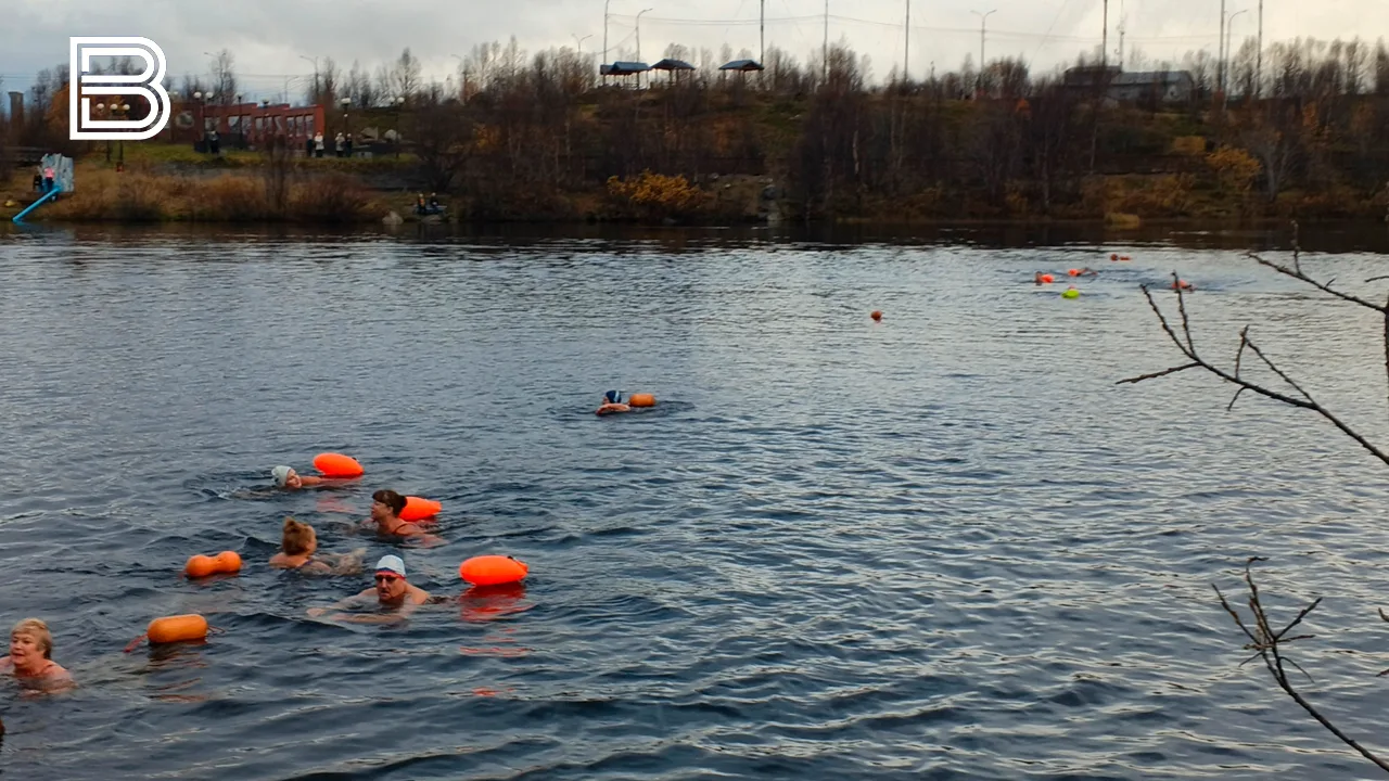 🌊 Мурманские моржи проплыли 110 метров в честь юбилея города