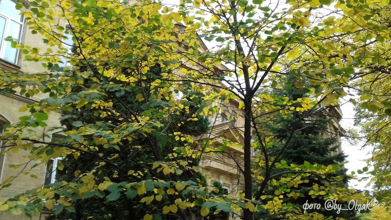 📸 Ставропольская осень 🍁
