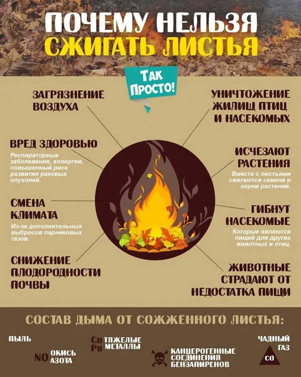 Не жги листву!