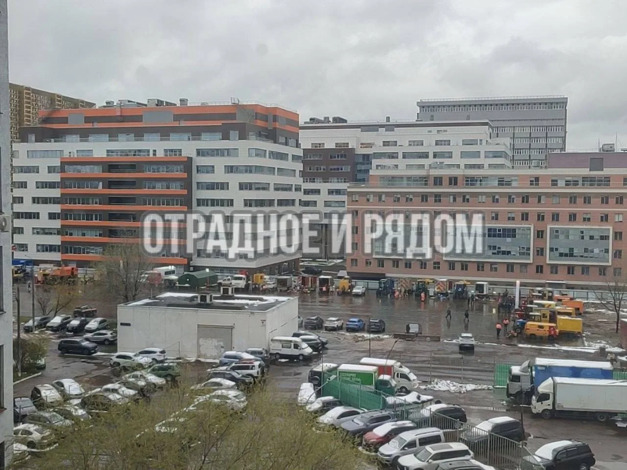 🗣От соседей: