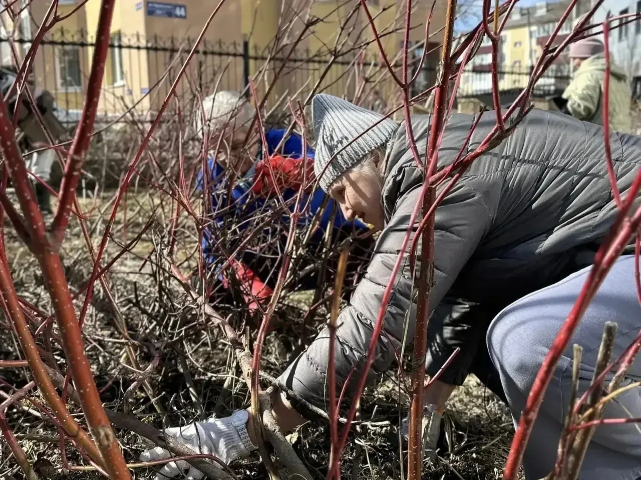 🧤 Общегородской субботник объединил самых активных южносахалинцев!    Город сегодня стал чище и уютн