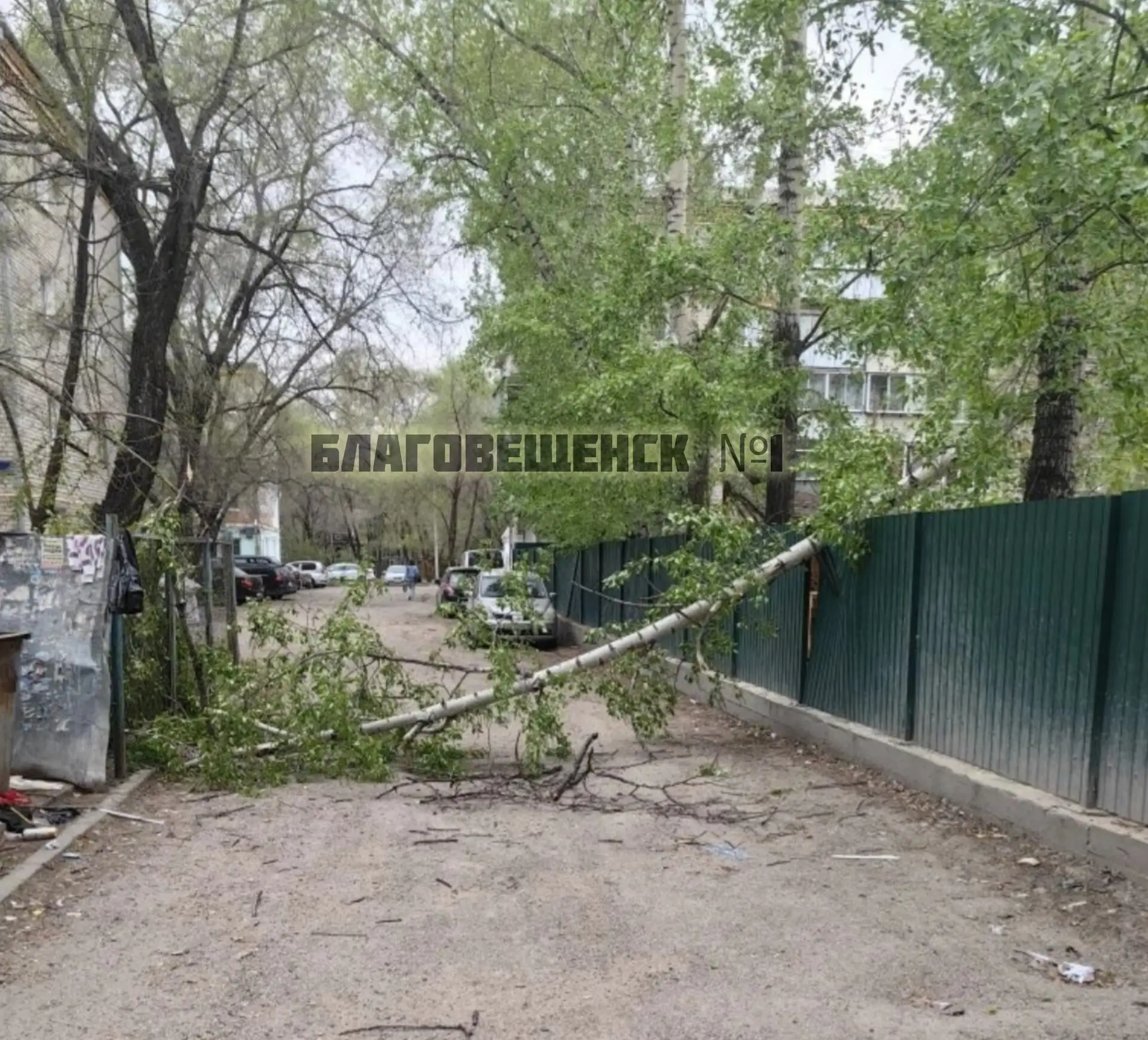 Последствие урагана в Благовещенске   От подписчика: проезд возле министерства  образования завалило