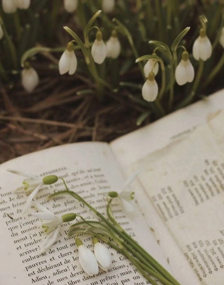 Есть много признаков весны, но один из самых верных — это пристальное и радостное внимание, пробужда