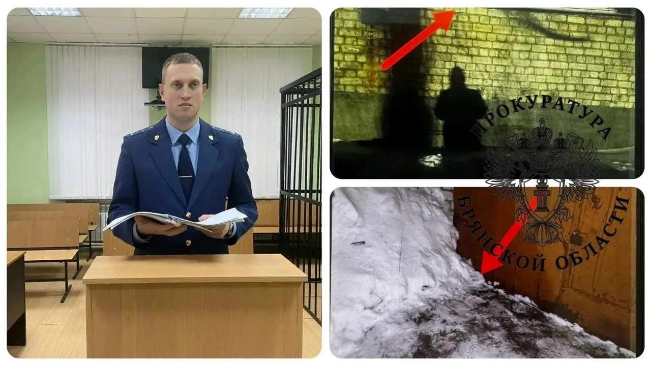 ‼️В Брянске суд вынес приговор семейной паре из Подмосковья за покушение на сбыт наркот...