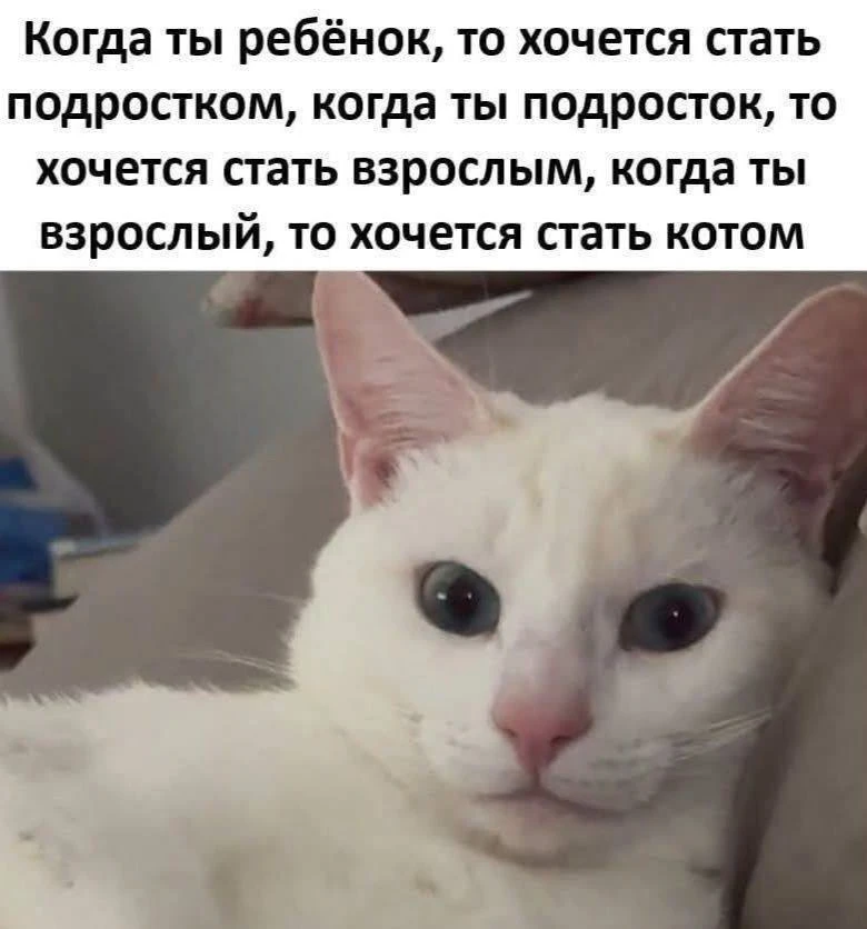 За последние полгода в личном сопровождении и коучинге с предпринимателями я всё чаще в...