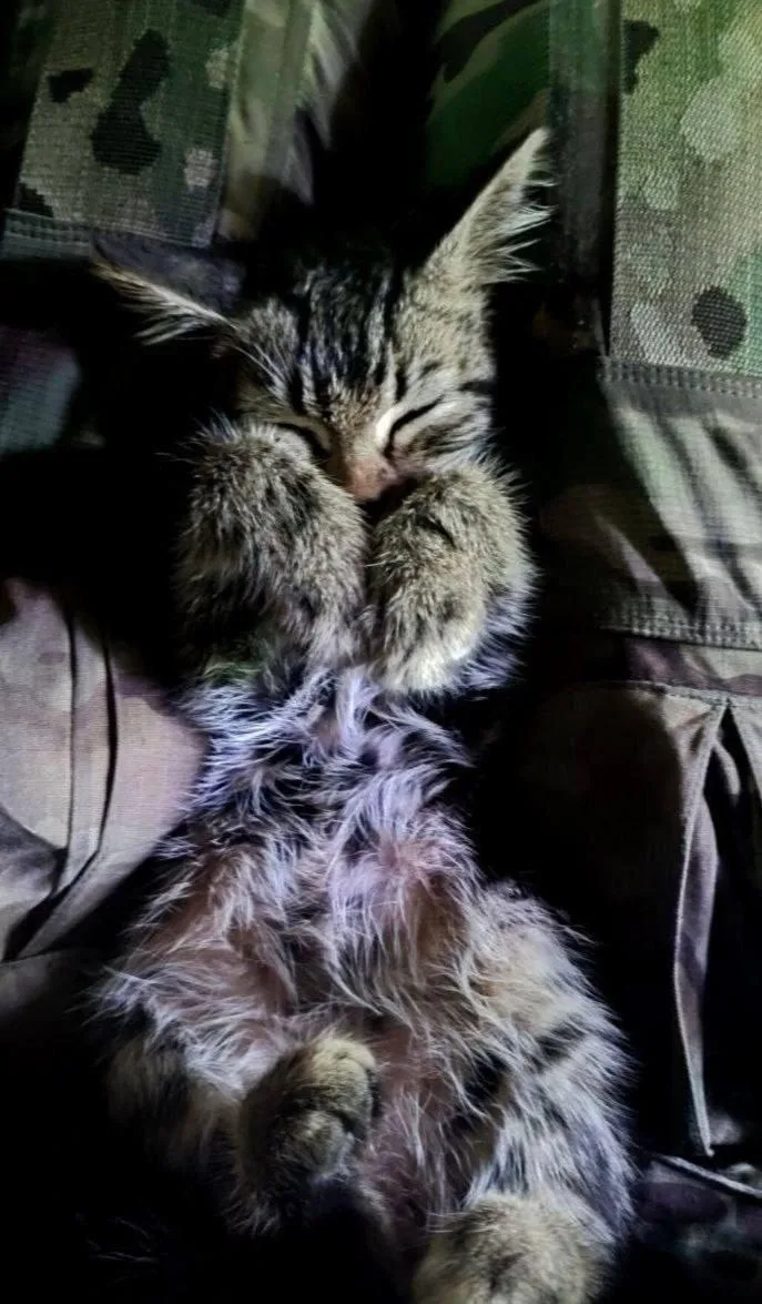 Мирной ночи! 😴
