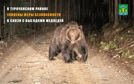 ‼️В связи с выходами медведей в населённые пункты и на прилегающие территории 28 август...