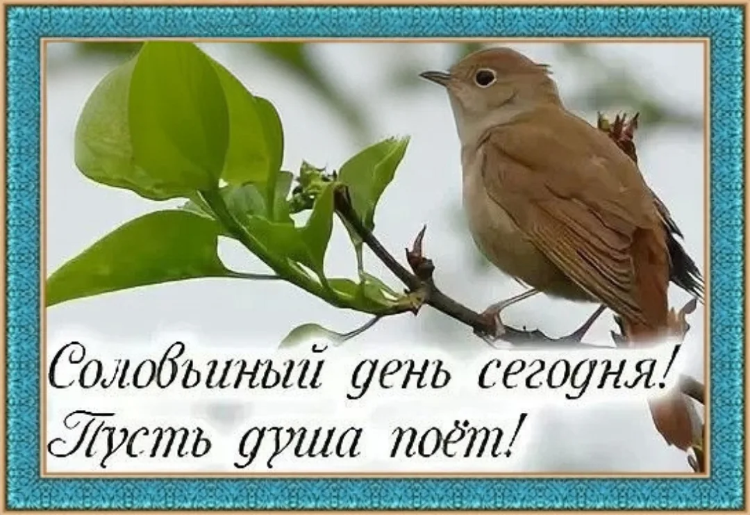 4 июня -🐦‍⬛ Соловьиный день