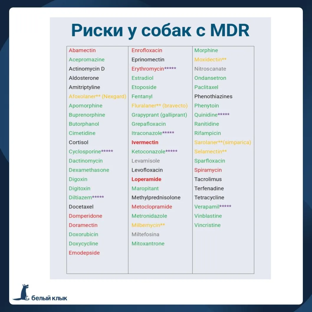 Связь с надпочечниками