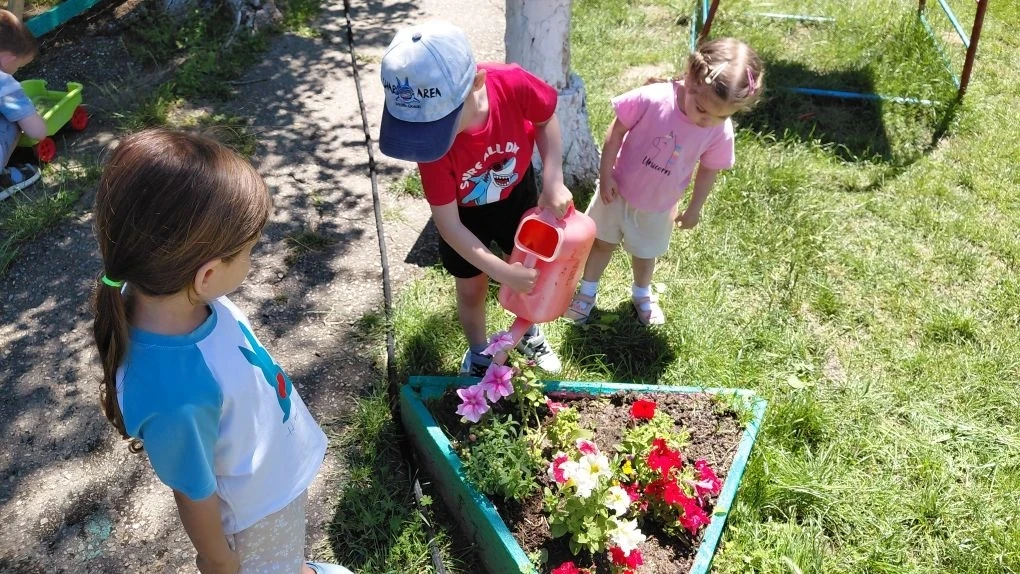 🌿Посадили огород,