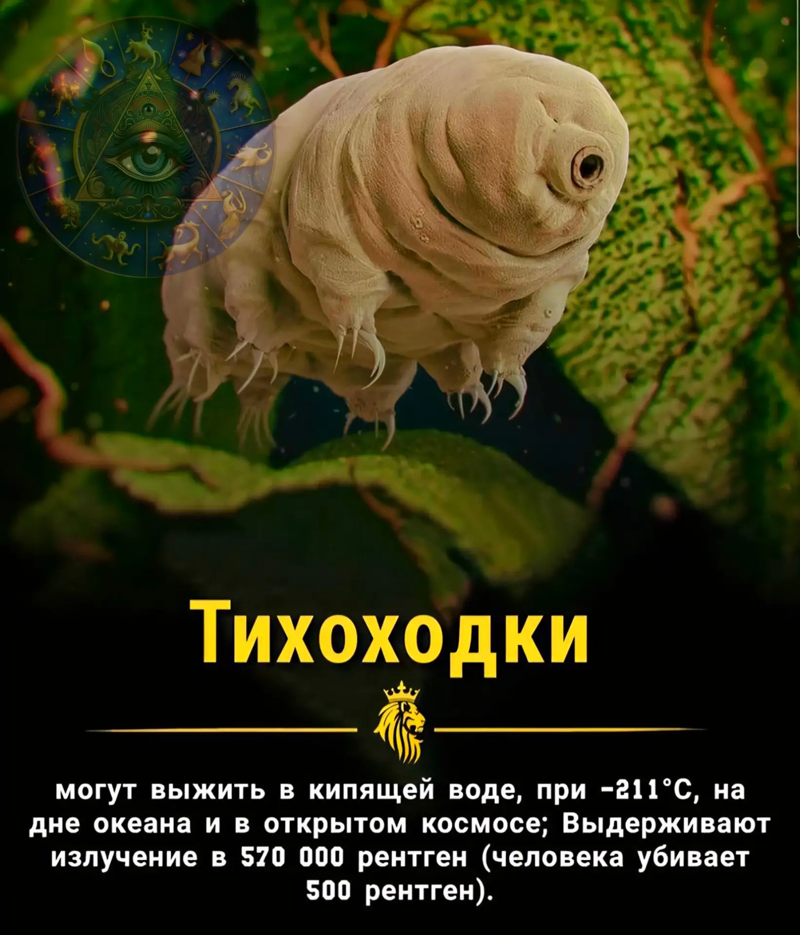 🧠 Интересный факт