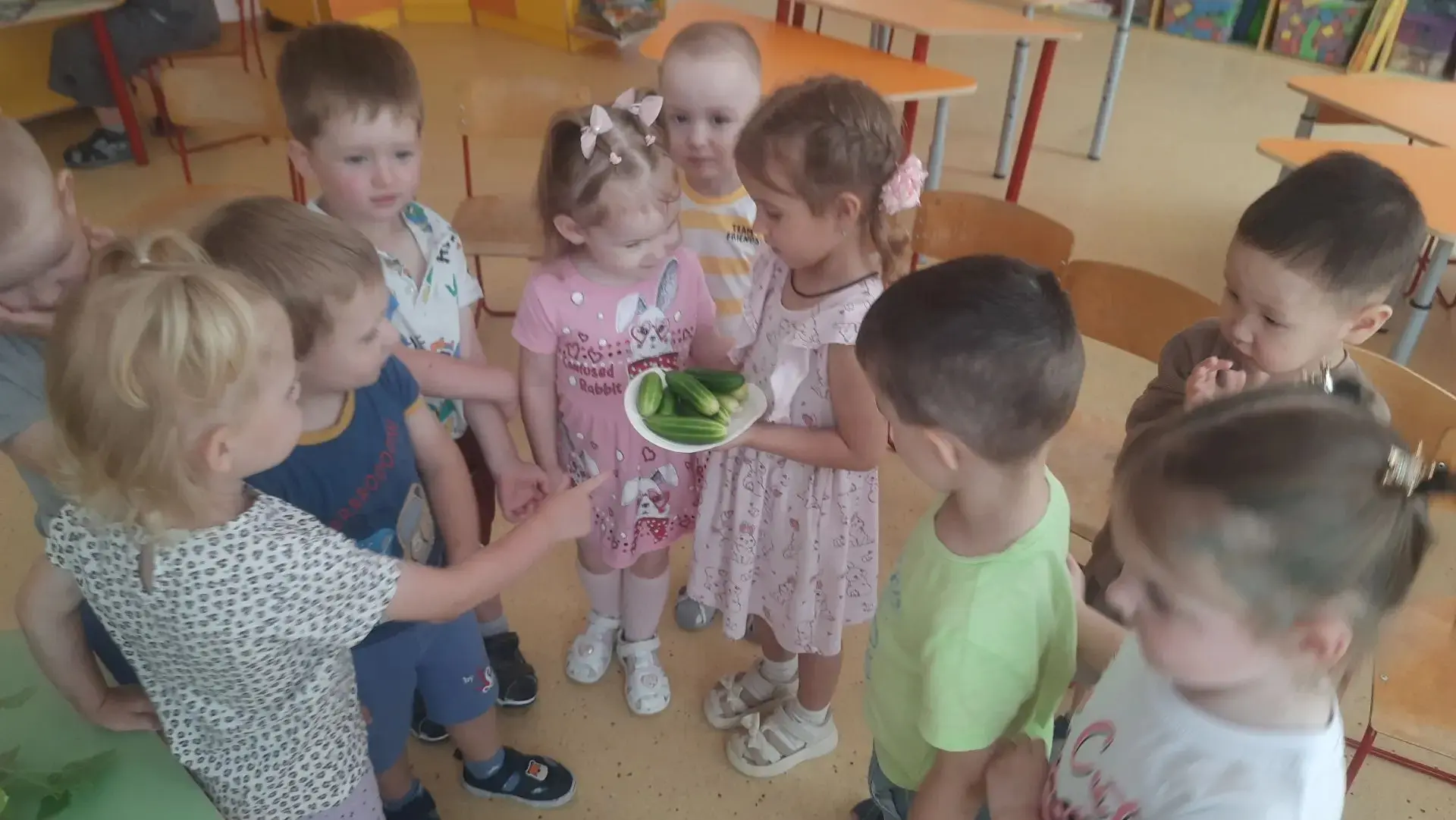 Весной 🌱 выпускники группы «Почемучки» посадили огурцы 🥒 на подоконнике 🪟, а малыши, которые неда