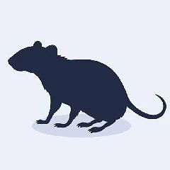 В новокузнецкой фирме после увольнения главбуха провели проверку бухгалтерского учёта и...