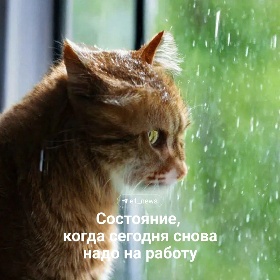 Доброе утро, Екатеринбург!  Да, сегодня снова понедельник. Если вам было грустно сидеть на работе в 