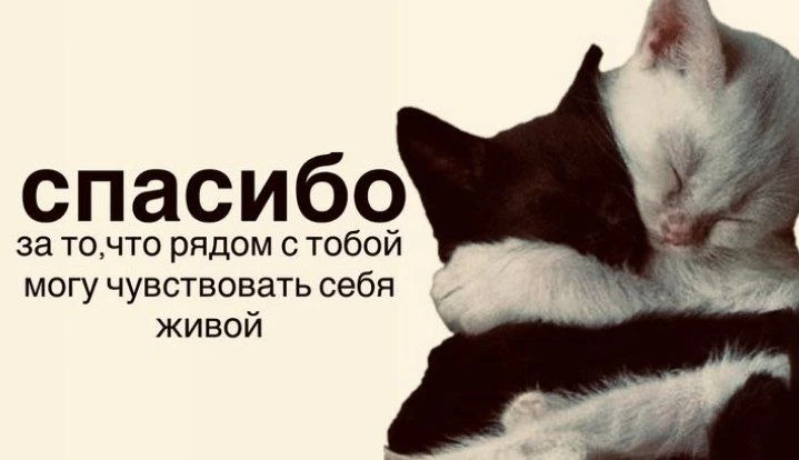Сегодня отмечаем День заботы о ЛЮБИМЫХ людях 🥺

// отправим пост,в благодарность за заботу от любим