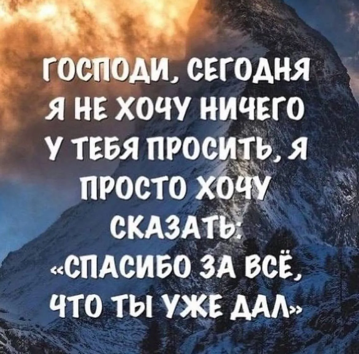 ПОНЕДЕЛЬНИК - День благодарности‼️
