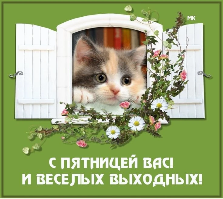 Вот и наступила долгожданная пятница! Позади рабочая неделя, впереди — два дня свободы, отдыха и при