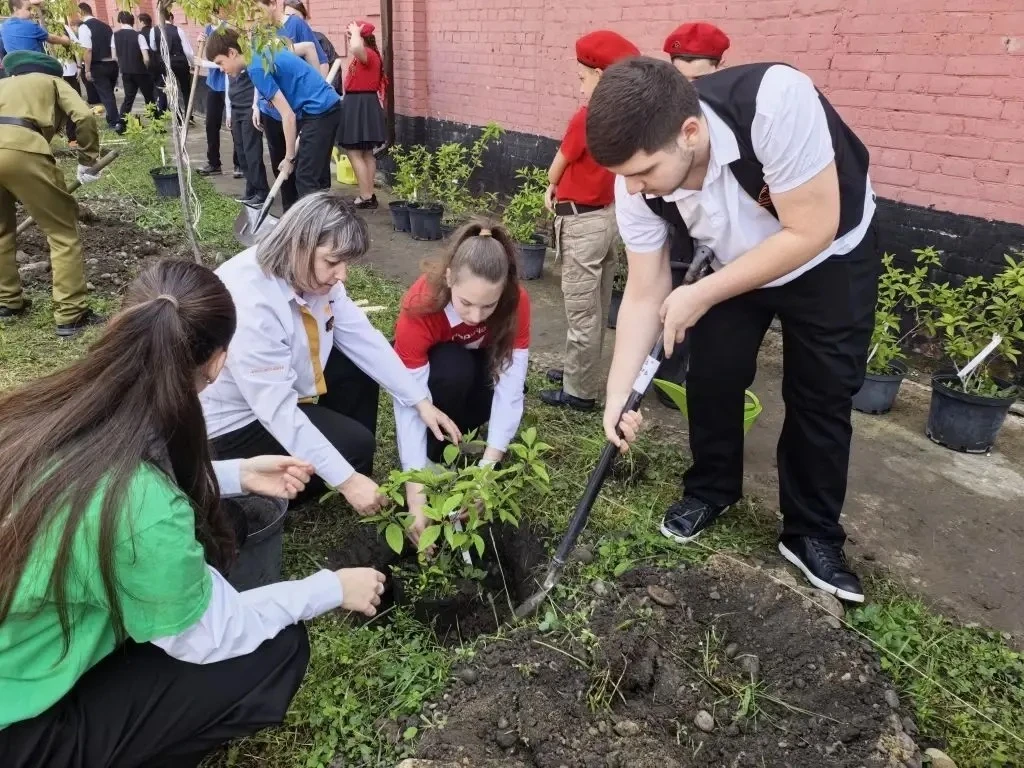 #ДеньПобеды #БессмертныйПолк #ТоржественнаяЛинейка #СадыПамяти