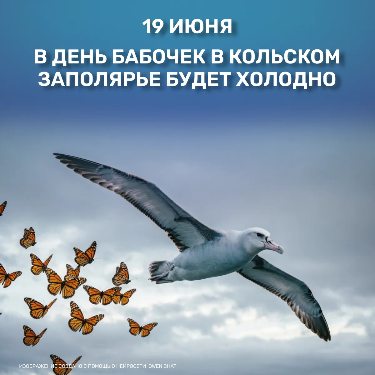 😢В Мурманской области 19 июня, в День альбатроса и День бабочек, ожидается совсем не летняя погода.