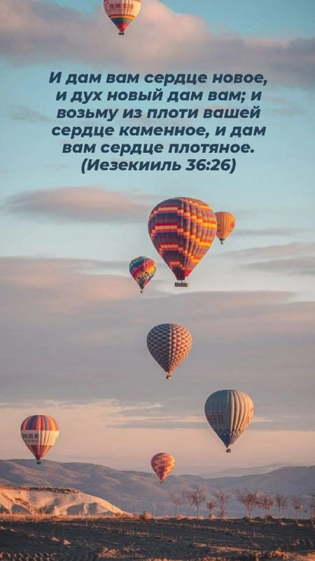 «И дам вам сердце новое, и дух новый дам вам; и возьму из плоти вашей сердце каменное, и дам вам сер