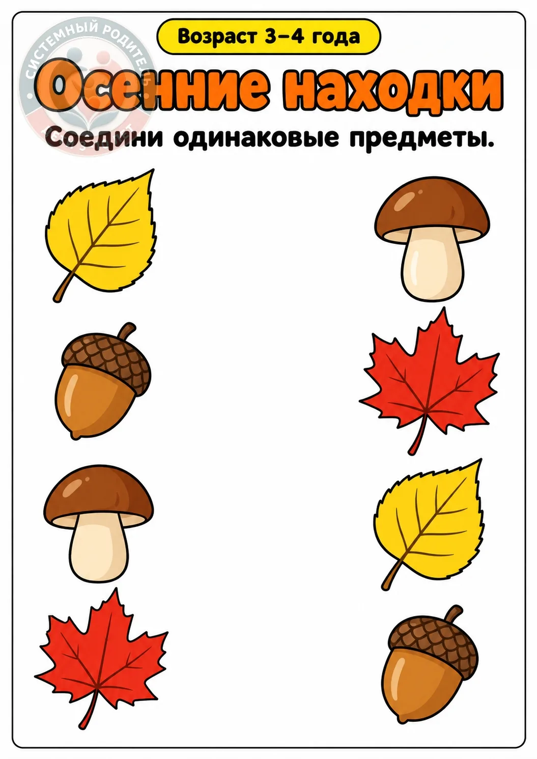 🍂 Осенние находки