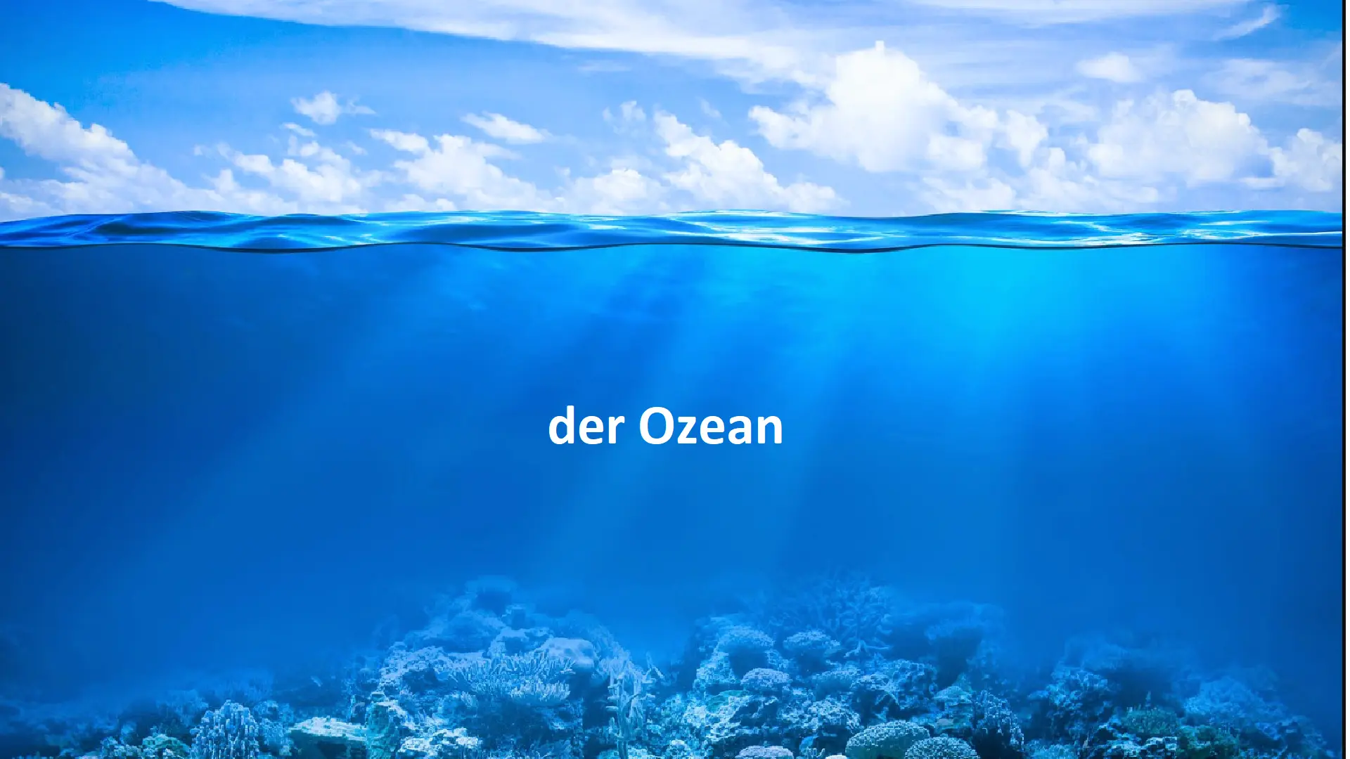 Das Lied "Der Ozean"/ Niveau A1+