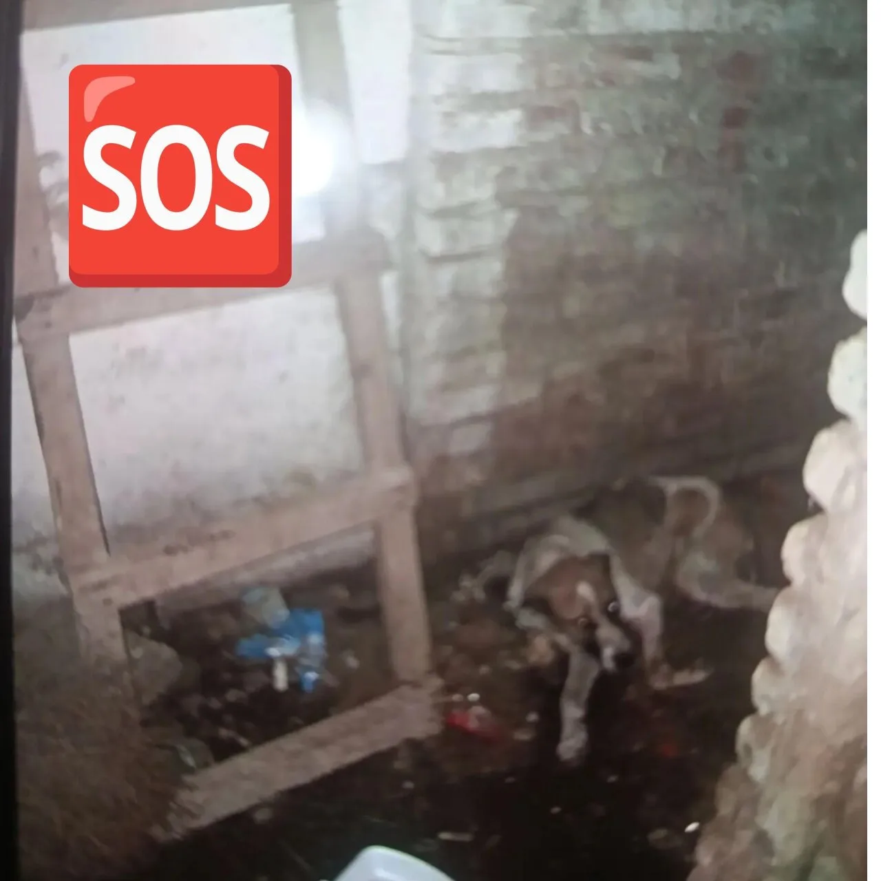 ‼‼‼Пишет девушка: