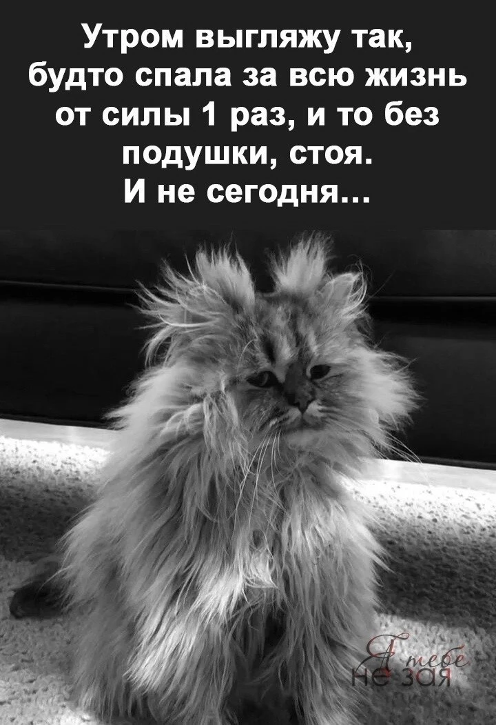 🇷🇺  Мы в МАХ : https://max.ru/public217683068