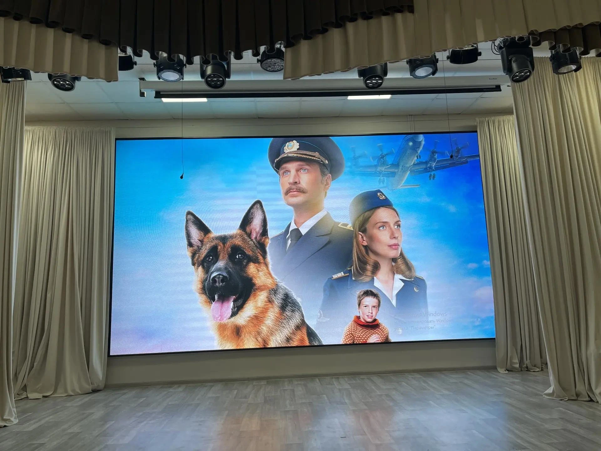 🐕 История дружбы, которая тронула сердца