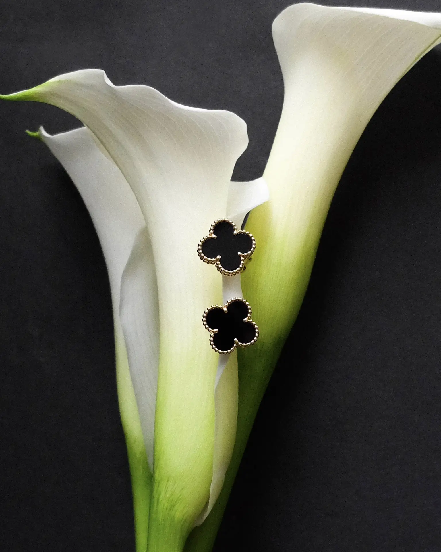 Серьги Van Cleef & Arpels
из коллекции Alhambra 😍

Характеристики:
✨ Металл: Желтое золото, 750 про