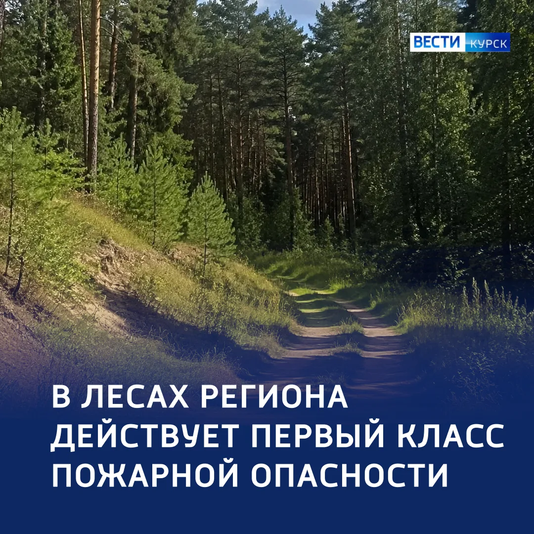 🌲 Полная безопасность: в лесах региона — низкий класс пожарной опасности

🔷 По данным Минприроды, 