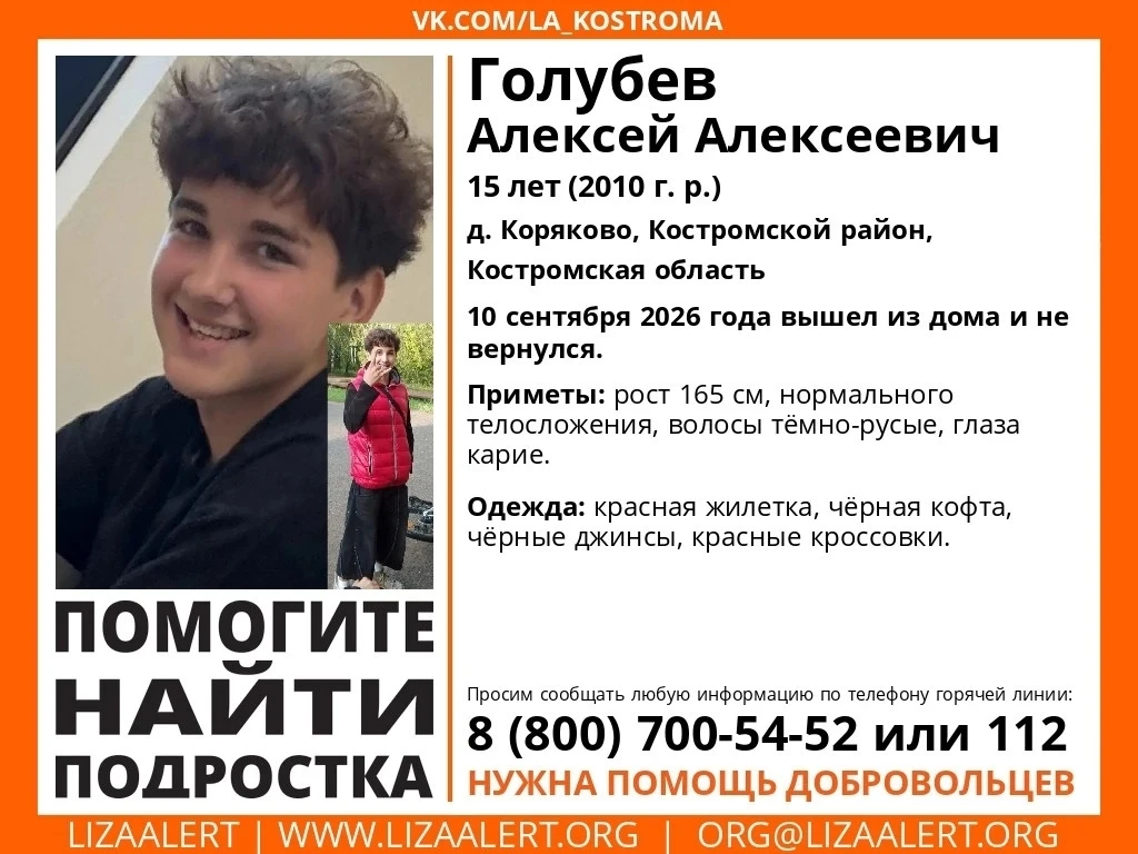 Пропал Голубев Алексей Алексеевич, 15 лет, д. Коряково, Костромской_район, Костромская_...