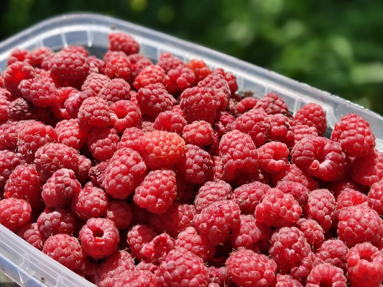 🍒Доброе утро, Славянский район!