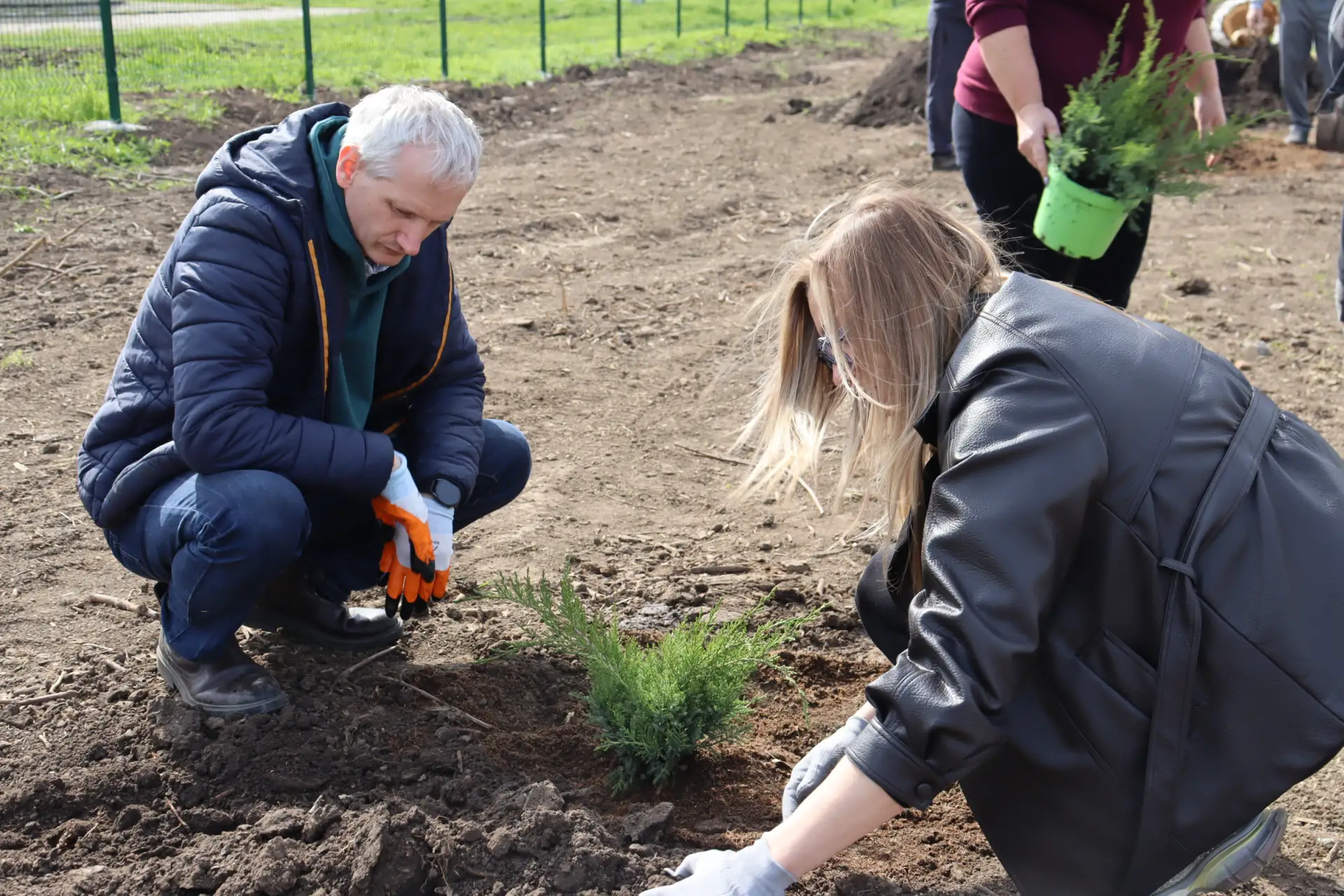 🌿 В СТАНИЦЕ КРИВЯНСКАЯ ВЫСАДИЛИ МОЖЖЕВЕЛЬНИКИ И ДРУГИЕ КУСТАРНИКИ В ДЕНЬ ДРЕВОНАСАЖДЕНИЯ  Сегодня, 1