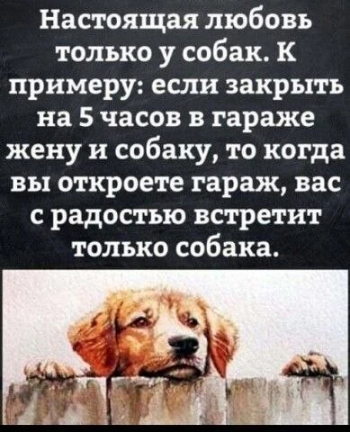 Открытки и приколы 🌸
