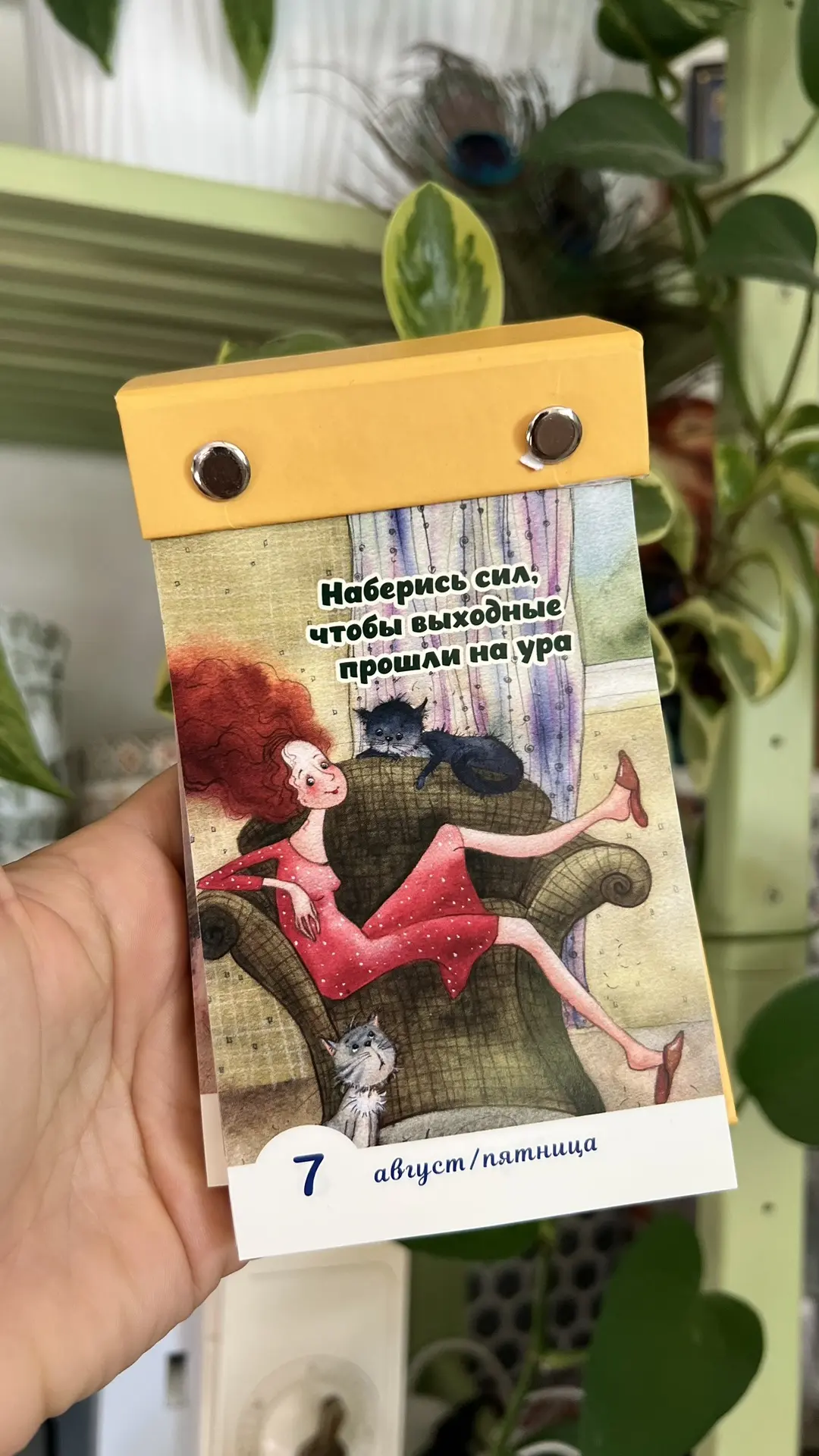 Доброе утро, дорогие-любимые! 🌞 После завтрака сделаю обзор Алиняшкиных поваренных книг