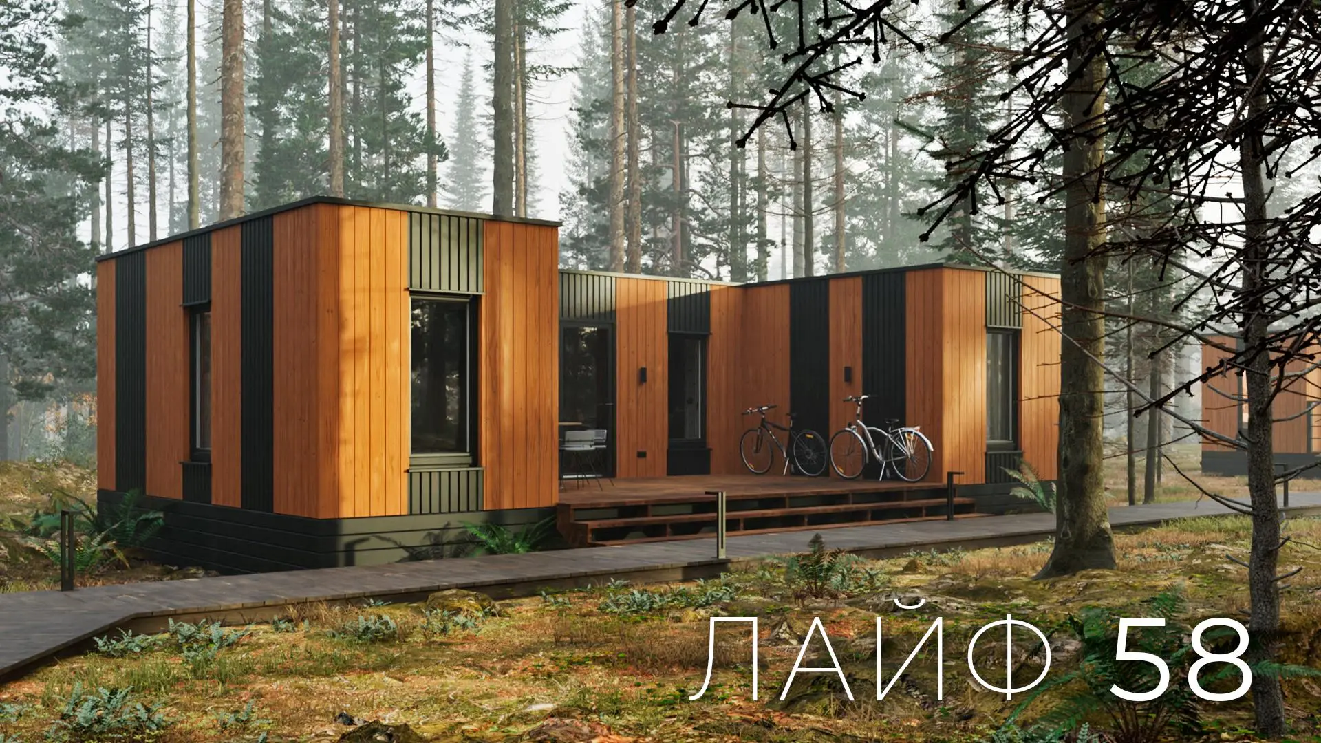 Проект ЛАЙФ 58