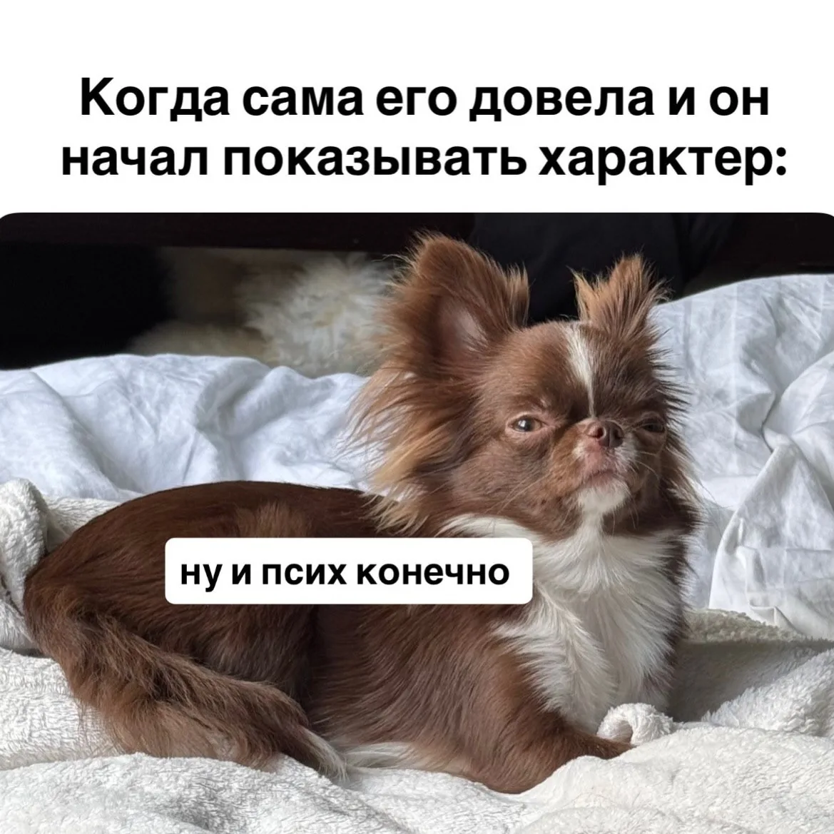 Ну точно я! Умоляю, скажите, что я не одна такая?! 🤣