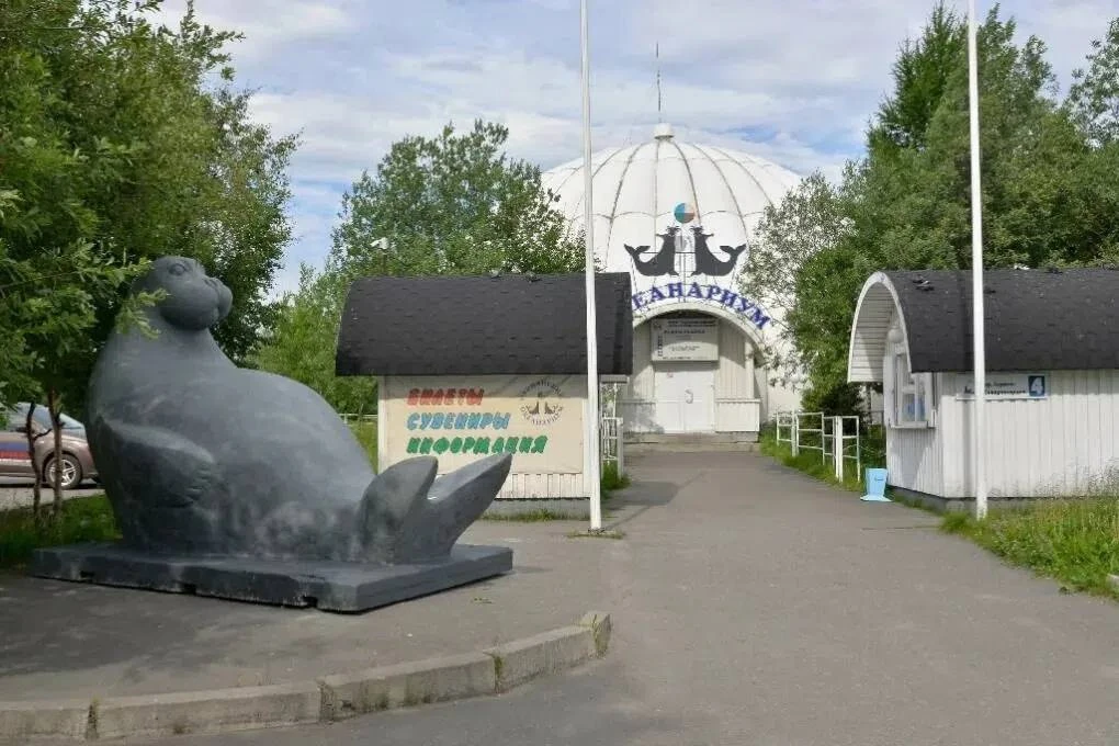 🦭 Мурманскому океанариуму грозит банкротство

ФНС подала иск из-за долгов перед бюджетом на 4,2 млн