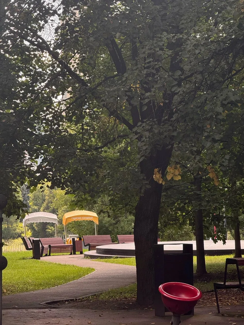 🌳 Парк Олимпийской Деревни — отличное место для прогулок и отдыха.