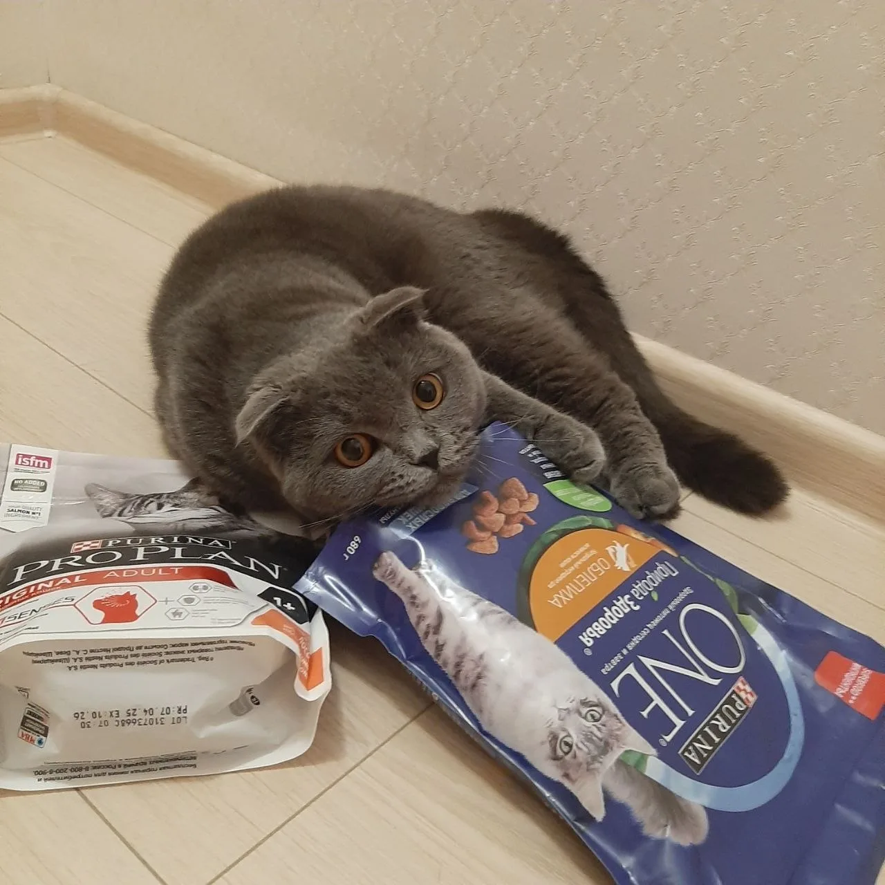 Ваша киска купила бы ... ProPlan от Purina
